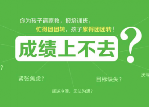 在辽宁干松鼠AI代理到底能不能行？我跟大伙儿掏心窝子聊聊